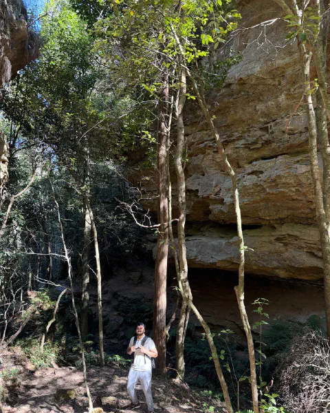 Blue Mountains, photo 1