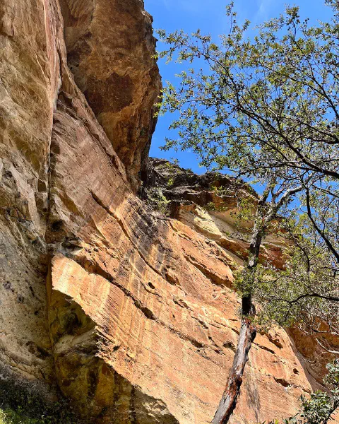 Blue Mountains, photo 4