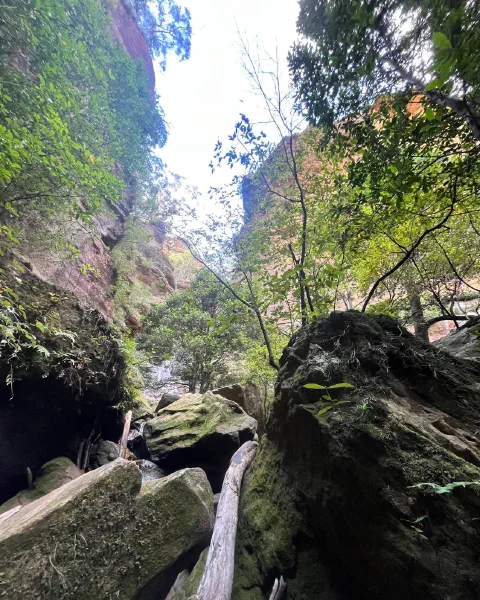 Blue Mountains, photo 5