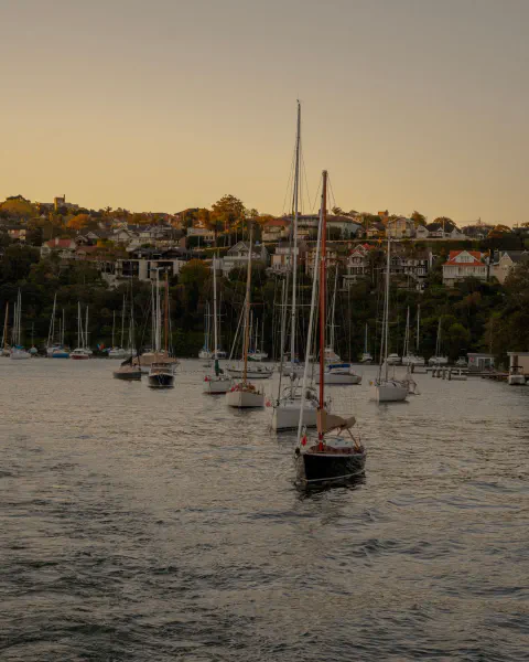 Neutral Bay, photo 4