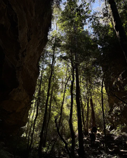 Blue Mountains, photo 3