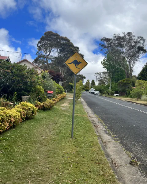 Blue Mountains, photo 8
