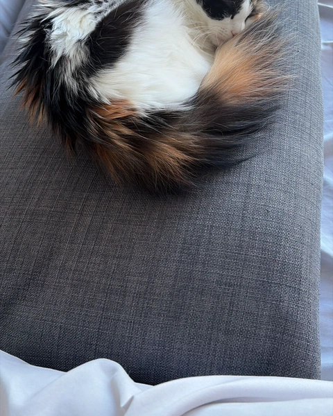 Sleepy TARS, photo 8